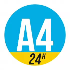 Einfarbiger Siebdrucktransfer DIN A4 24 Std.